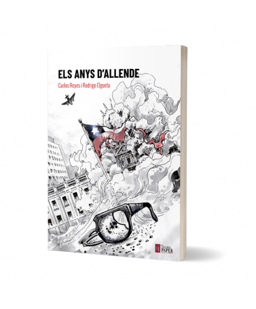 Els anys d'allende